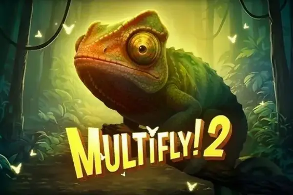 MultiFly 2